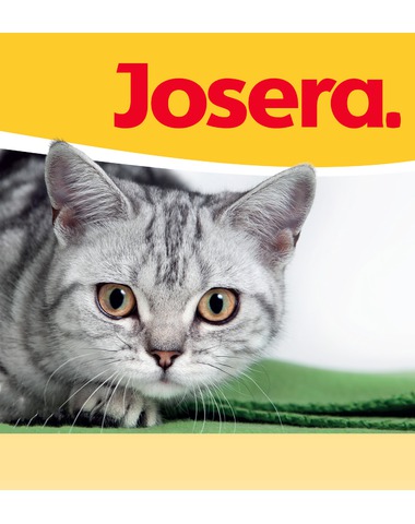 JOSERA CHAT