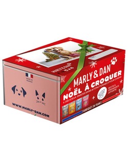 COFFRET DE NOEL FRIANDISES CHIEN